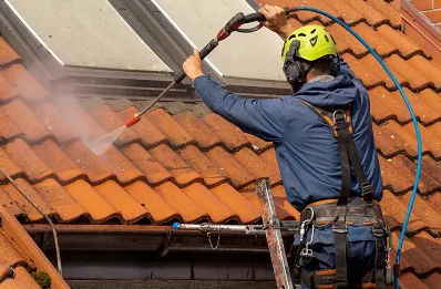 Démoussage et hydrofuge de toiture à Gomelange